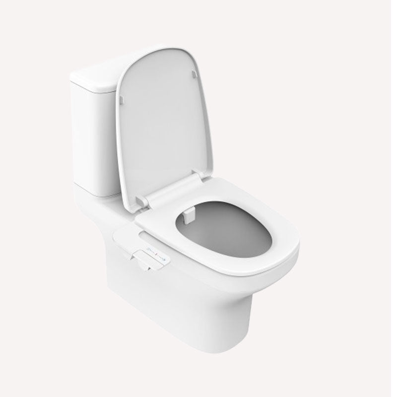 Double Nozzle Toilet Flusher